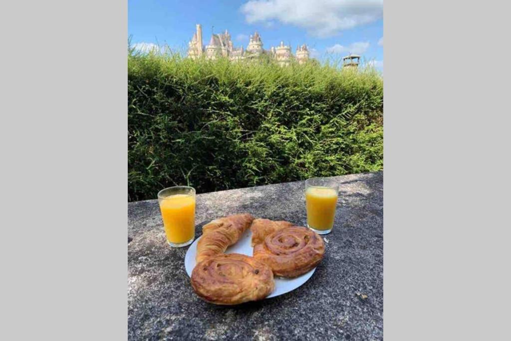 LES TERRASSES  Villa Pierrefonds Eksteriør billede